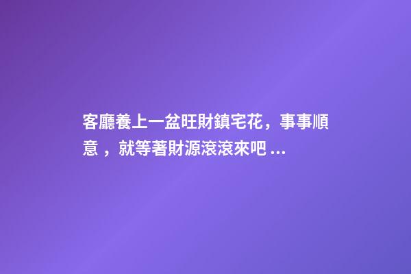 客廳養上一盆旺財鎮宅花，事事順意，就等著財源滾滾來吧！